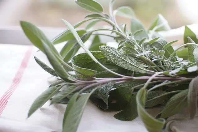 Meilleures feuilles de cuisson antiadhésives - Guide d'achat